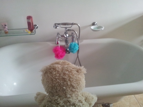 Malcolm the polar bear hates baths